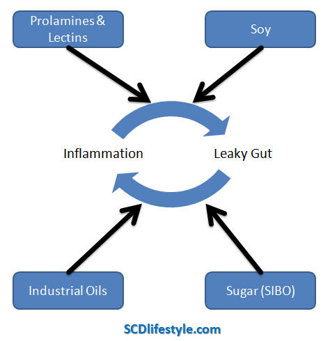 leaky-gut-cycle