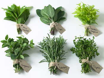 Six bunches of herbs