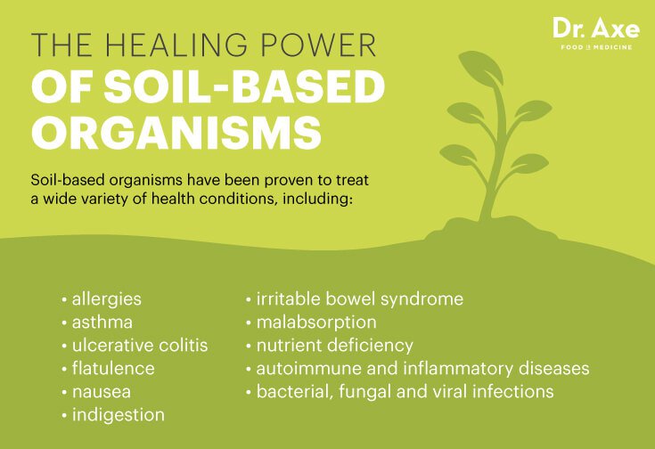 eating dirt eating dirt, benefits of eating dirt, soil based organisms, how to heal leaky gut