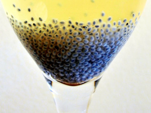 20110414-146872-basil-seed