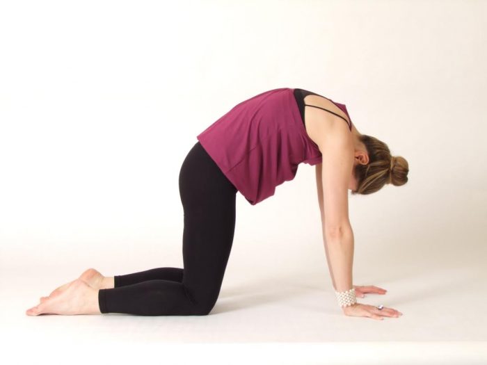 Yoga-cat-pose