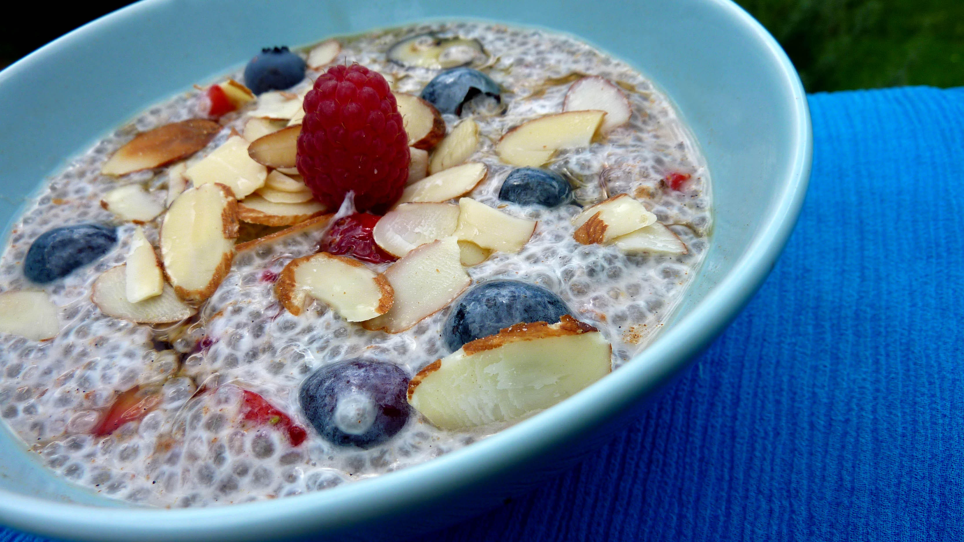 ChiaPudding