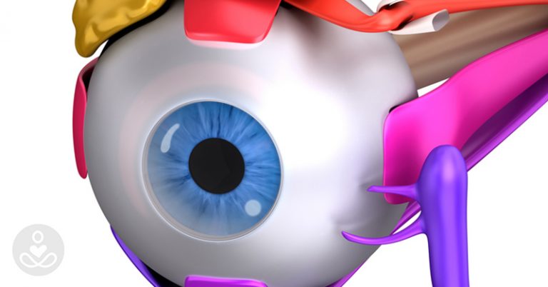 8 Great Ways to Support Vision Health - Featured image