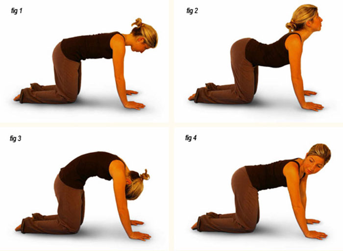 cat pose, yoga for sciatica, sciatica stretches
