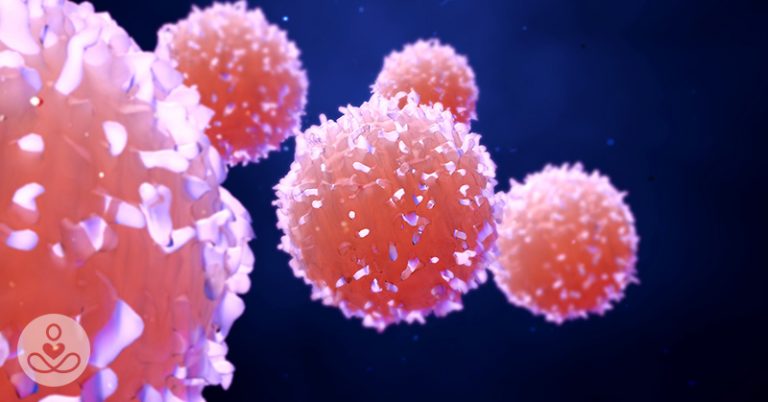 Sex And Cancer: Was Sexual Reproduction Meant to Prevent Cancer? - Featured image