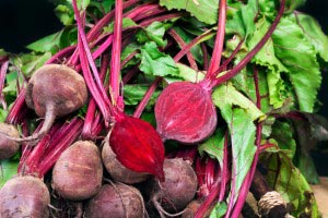 beets stool, causes constipation, constipation remedies, food transit time