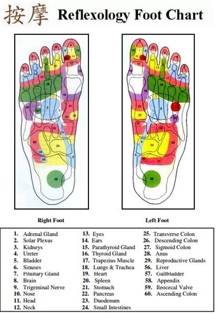 pressure points in your feet, foot massage chart, foot massage pressure points