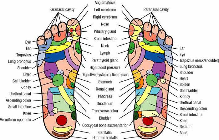 pressure points in your feet, foot massage chart, foot massage pressure points, reflexology foot chart