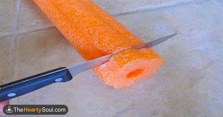 9 Easy Pool Noodle Hacks Around The House - Featured image