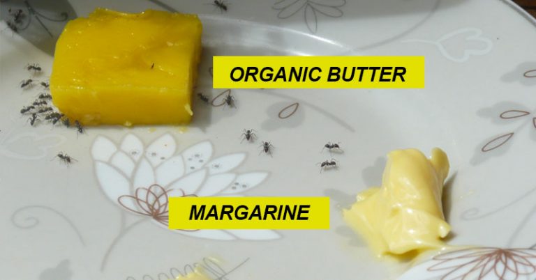 The Real Truth About The 5 Most Popular Diets In America That No One Will Tell You - Featured image