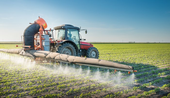 organic tea brands, pesticides-in-tea