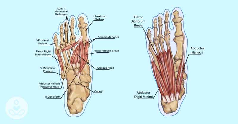 posture exercises feet