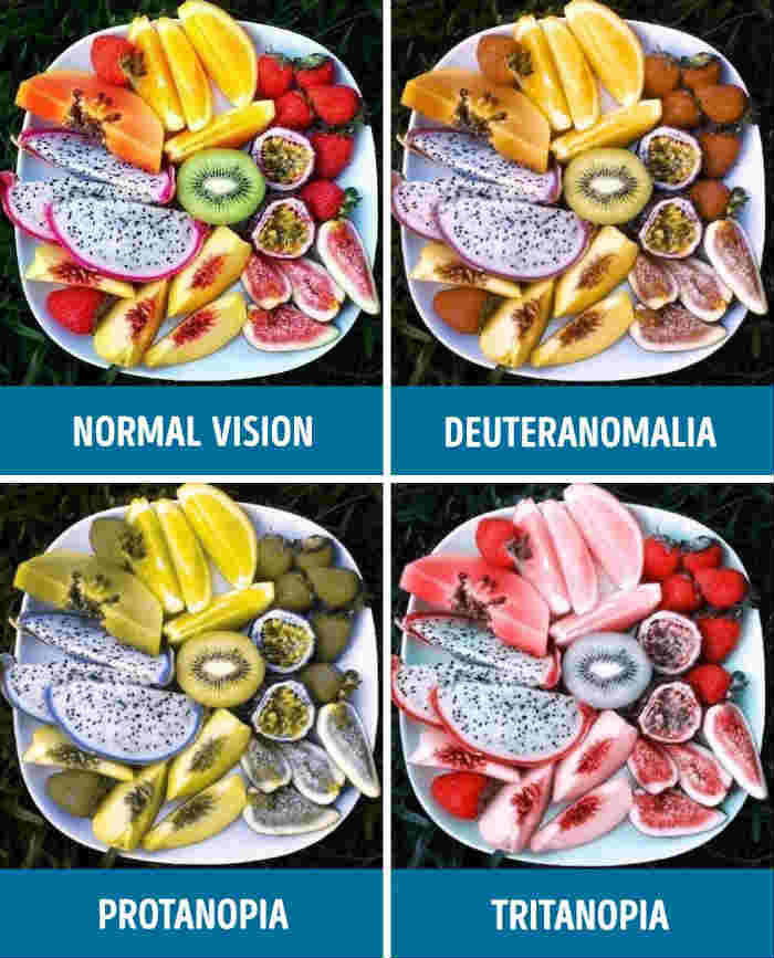 Kinds of Color Blindness - Normal Vision - Deuteranomalia - Protanopia - Tritanopia | Fruit Plate
