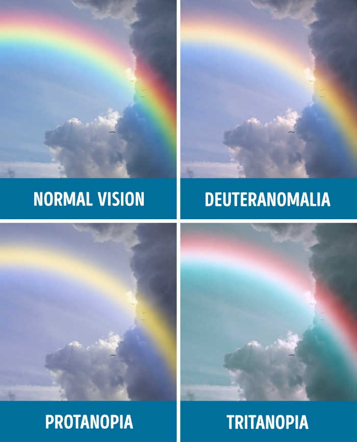 Kinds of Color Blindness - Normal Vision - Deuteranomalia - Protanopia - Tritanopia | Rainbow