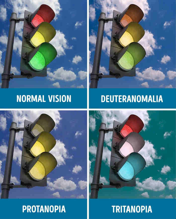 Kinds of Color Blindness - Normal Vision - Deuteranomalia - Protanopia - Tritanopia | traffic light