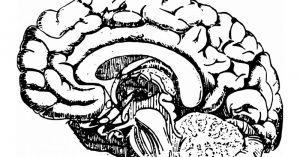 THS_Sep5_Part5_3_-Dancing-Can-Reverse-the-Signs-of-Aging-in-the-Brain-