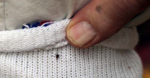 Aor03_Part04_07_Lyme