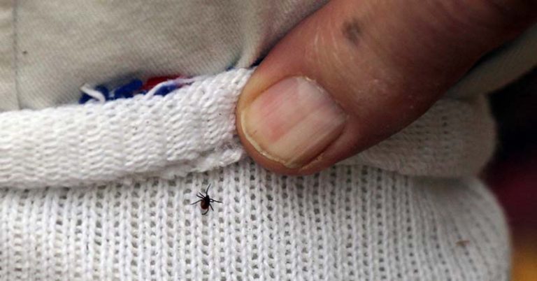 Could You Have Lyme Disease and Not Even Know It? This Woman Did. - Featured image