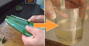 IBS, Constipation, or Diarrhea? Here's Why You Might Want to Try Aloe Vera Water RF_Jan_14_Aloe