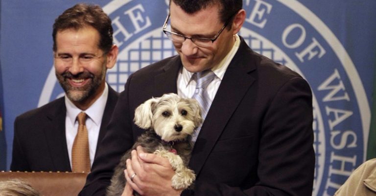 Animal Abusers Will Now Be Registered Like Sex Offenders - Featured image