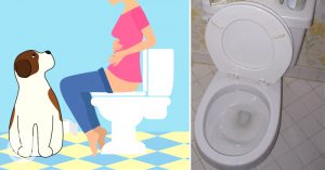 THS_Oct02_Part01_02_Tested_your-dog-follows-you-to-the-bathroom
