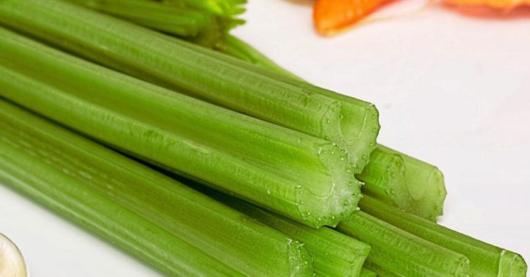 10 Reasons Why You Should Start Eating Celery More Often - Featured image