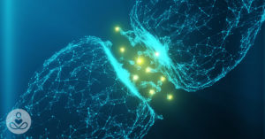 illustration of junction between neurons with depictions of neurotransmitters