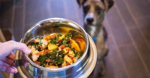20 Real Foods You Can Feed Your Dog RoverRepubs_Part13_06_Stop-Feeding-Your-Pup-Toxic-Dog-Food