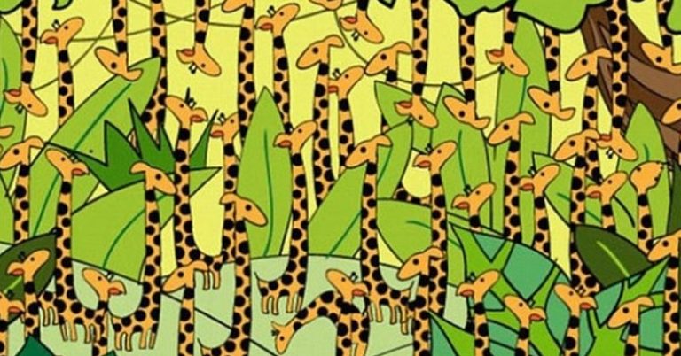 15 Spot the Difference Pictures That Will Sharpen Your Brain - Featured image