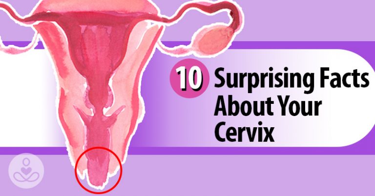 10 Facts About The Cervix Every Woman Should Know - Featured image
