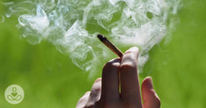 Marijuana use during pregnancy linked to autism in babies, study says person smoking marijuana joint