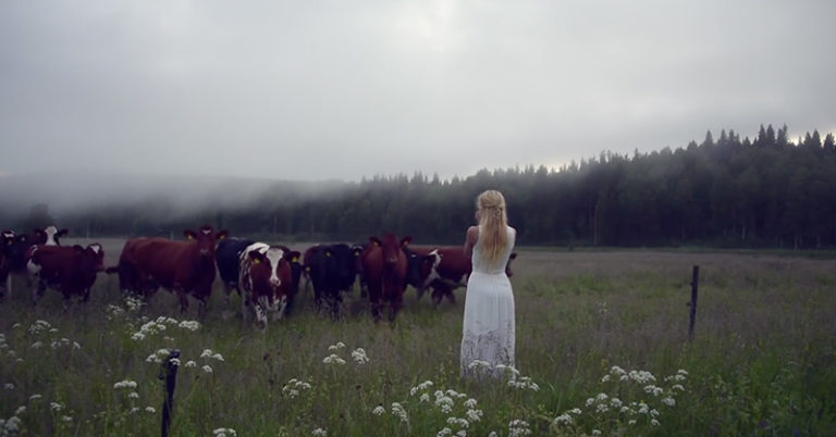 Hauntingly Beautiful: Jonna Jinton Uses Ancient Art of Kulning to Summon Cows - Featured image