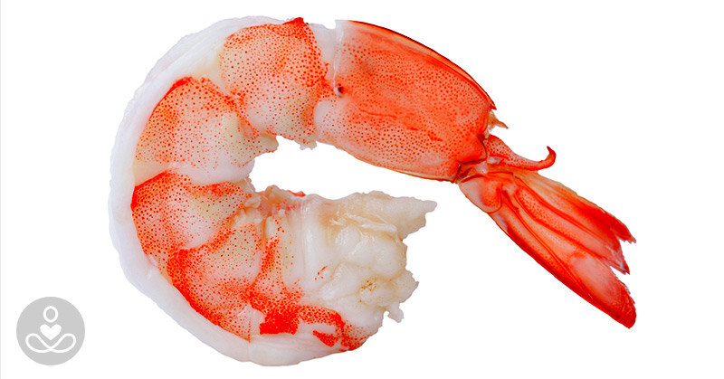 Is Shrimp Healthy? Everything You Need to Know About Shrimp Nutrition