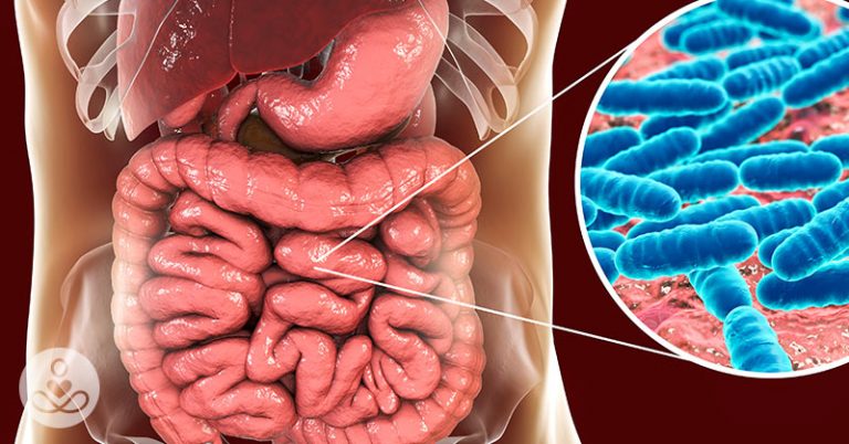 How the Bacteria in Our Gut Influences Our Minds - Featured image
