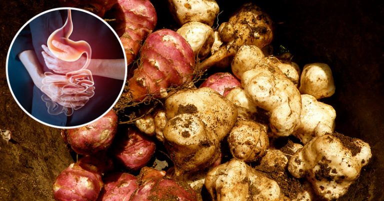 A Beginner’s Guide to Prebiotics: 10 Benefits You Cannot Ignore for Your General Health  - Featured image