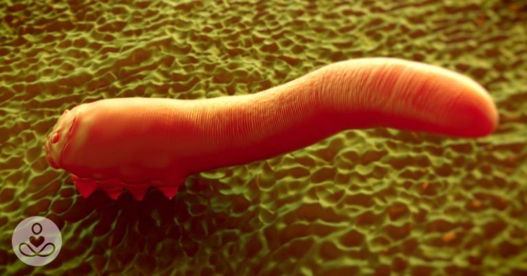 How to Detect and Eliminate Eyelash Mites (Demodex Mites) - Featured image