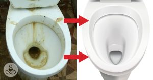 Top 7 Natural Alternatives For Bleach and DIY Household Cleaner Recipes Bleach Alternative