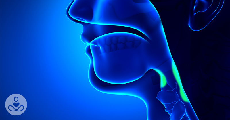 Blue tinted rendering of human throat and nasal passages