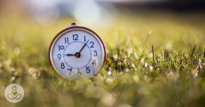 daylight-savings