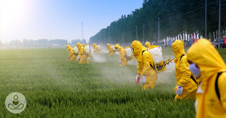 You Are Not Gluten Intolerant- You’re Glyphosate Intolerant? - Featured image