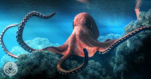 Dangers of Farming Octopus Octopus