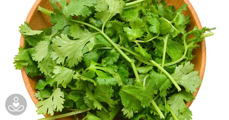 Why Does Cilantro Taste Like Soap to Some? - Featured image