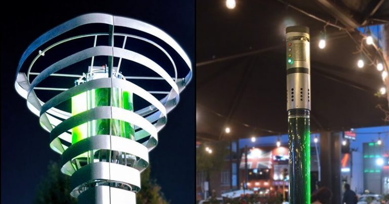 Microalgae System Turns Pollution Into Oxygen Equivalent To More Than 300 Trees - Featured image