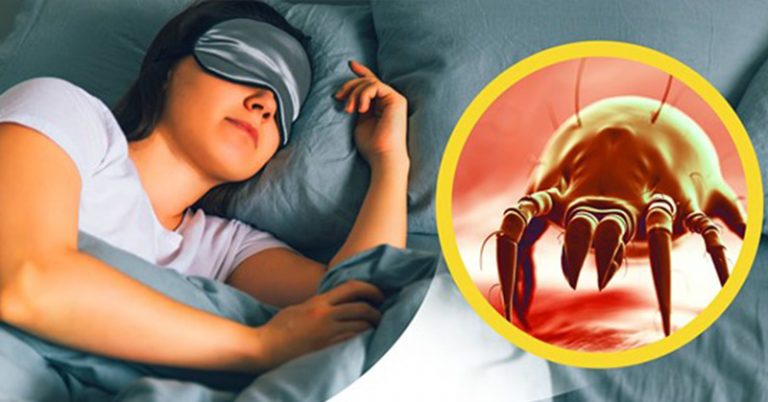 Your Pillow Case Has More Bacteria Than Your Toilet Seat if You Don’t Wash Your Sheets Often - Featured image
