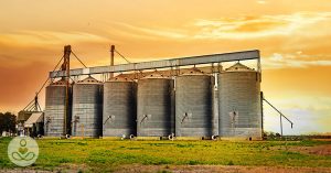 PFAS are in the US Food Supply, here’s why you should care PFAs