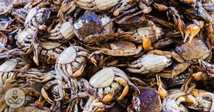 crabs