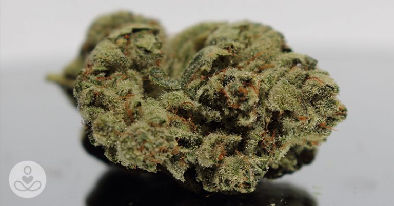 Marijuana May Boost, Rather Than Dull, the Elderly Brain - Featured image
