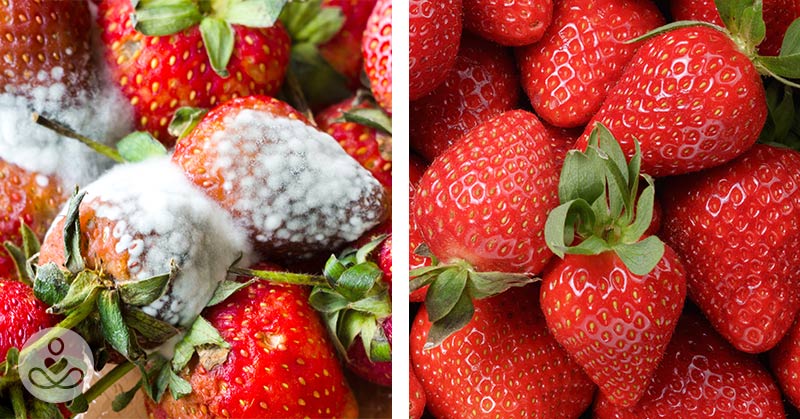 split screen of rotten and fresh strawberries