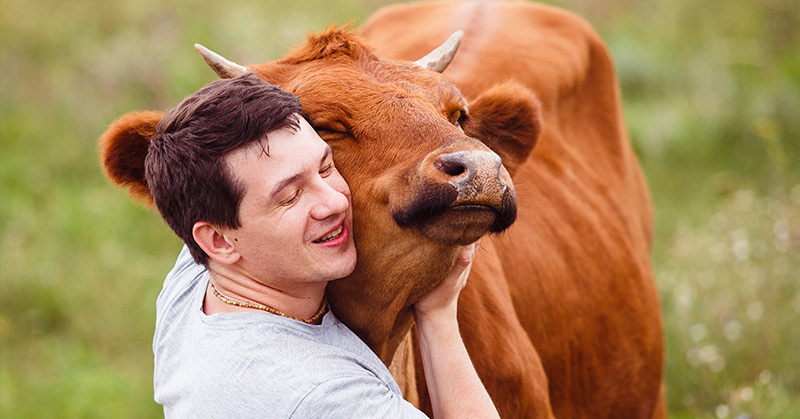 man cuddling cow