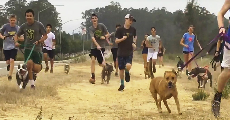 high school kids running with dogs